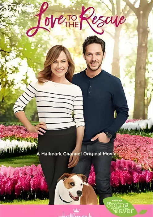 救助狗狗遇到爱(全集)