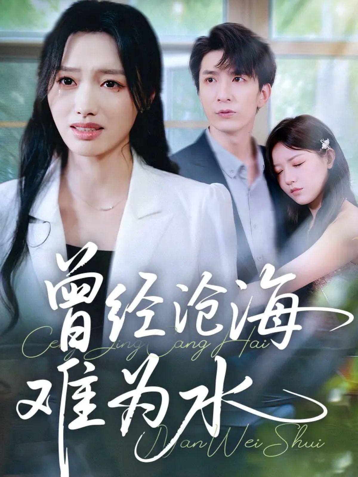 新曾经沧海难为水(全集)